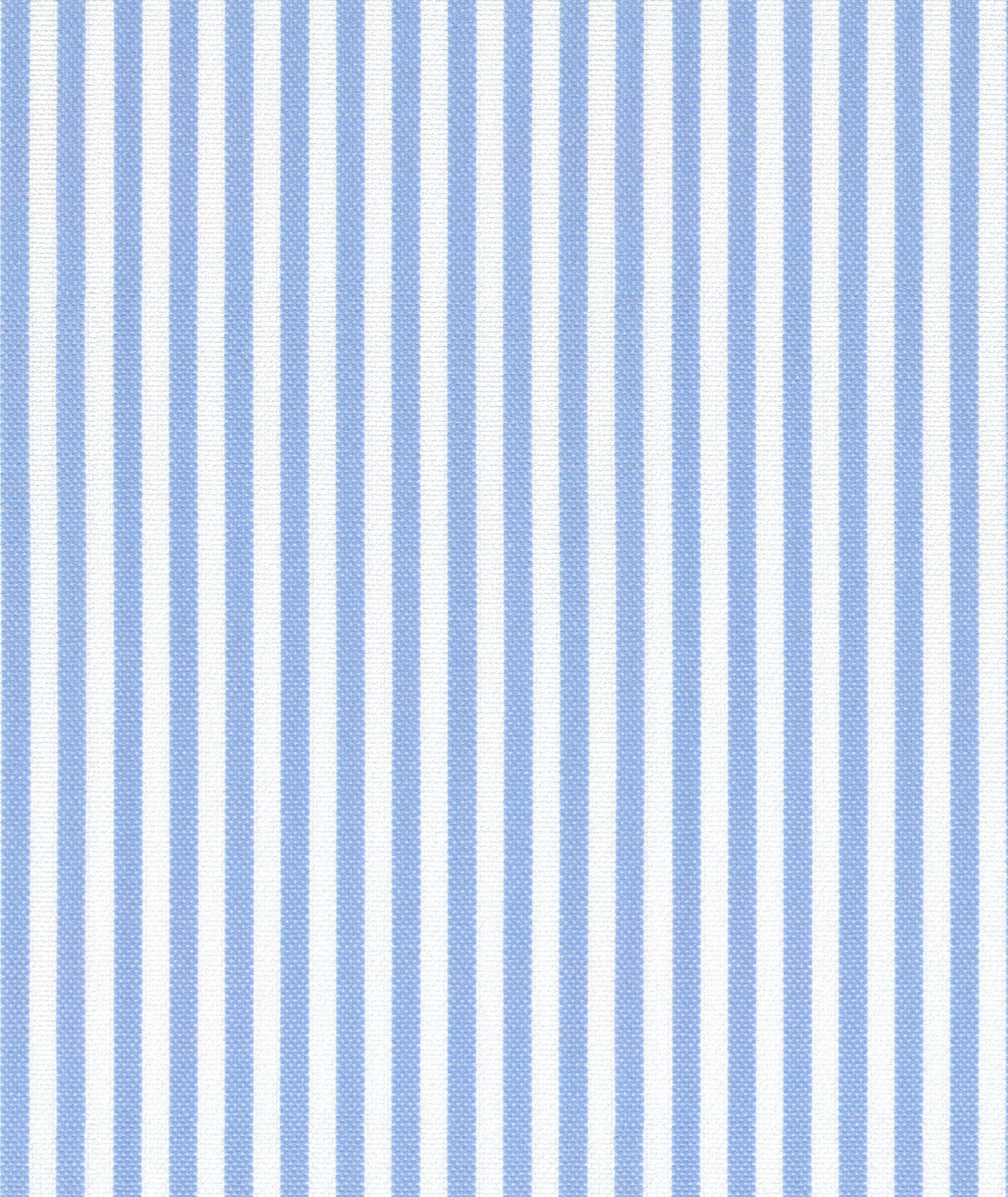 Camicia Righe Azzurre Pinpoint - Image 6
