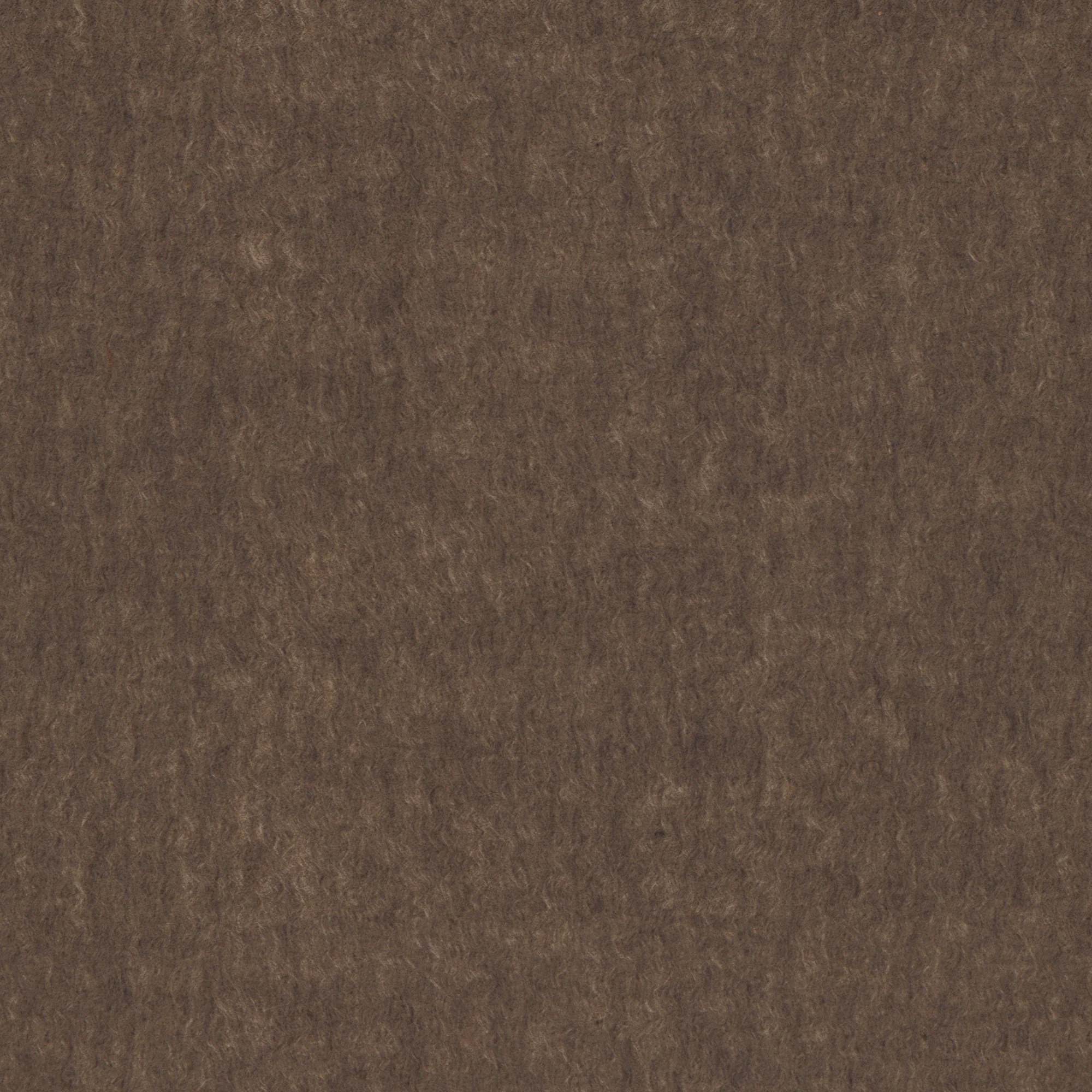 Cappotto Signature a pelo in yak color tortora - Image 6