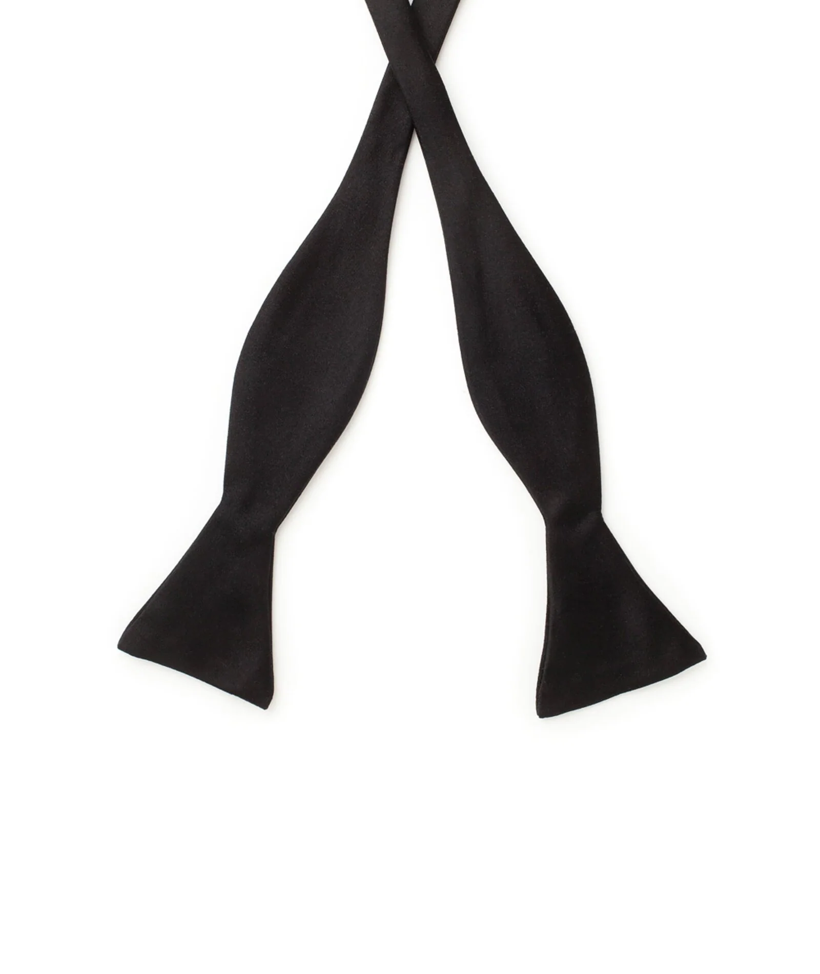 Papillon Nero Seta - Image 3